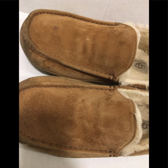 UGG ASCOT SUEDE SLIPPER